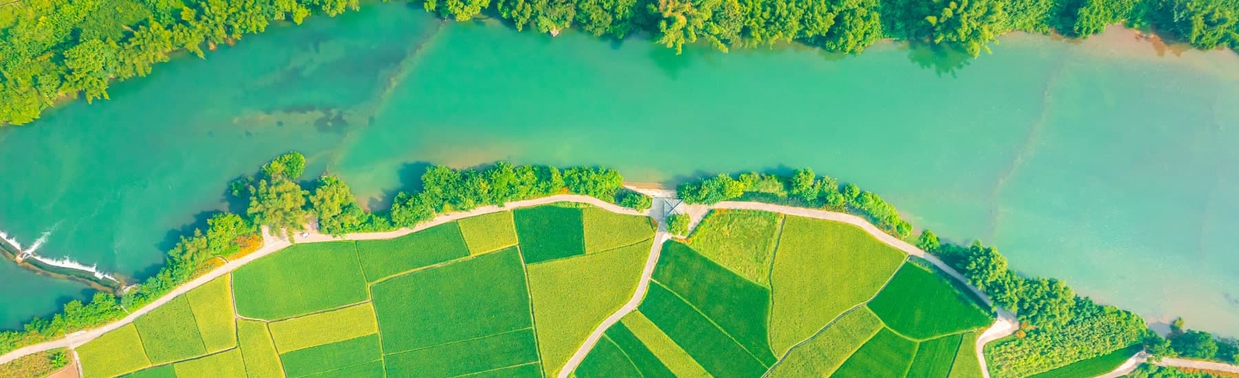 Uma imagem de fundo relevante.